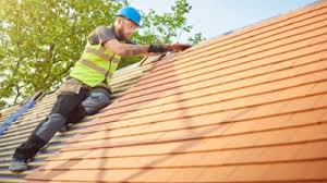 Best Skylight Installation and Repair  in Big Le, AK
